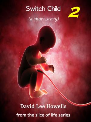 Cover of the book Switch Child 2 by David Howells