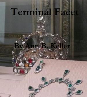 Cover of the book Terminal Facet by Girolamo Nuvola
