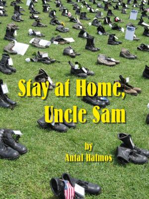 Book cover of Stay at Home, Uncle Sam