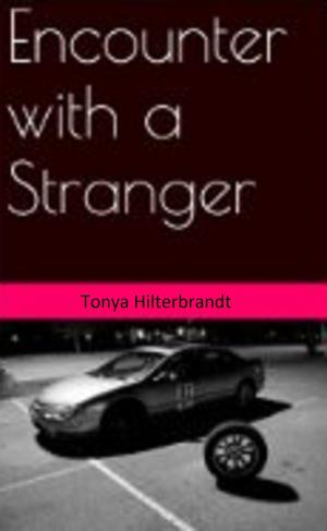 Cover of the book Encounter with a Stranger by Jessica Taddei
