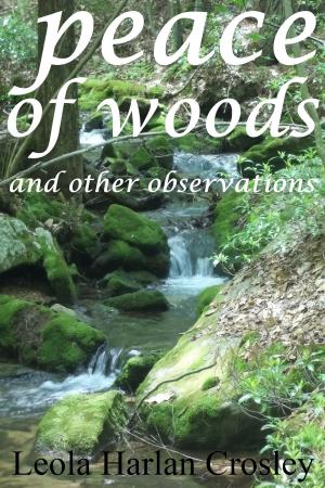 Cover of the book Peace of Woods by J.C. Hendee, N.D. Author Services