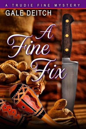 Cover of the book A Fine Fix by Laura Durham