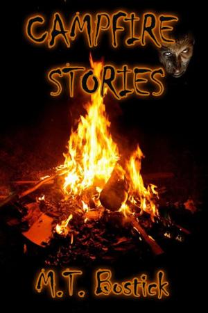 Cover of the book Campfire Stories by Philip E. Batt