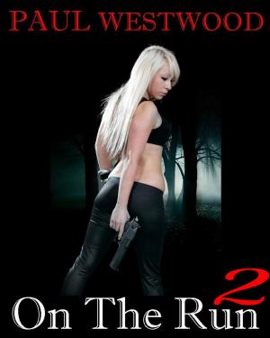 Cover of the book On the Run 2 by Lucinda Brazon