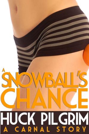 Cover of the book A Snowball's Chance by Huck Pilgrim