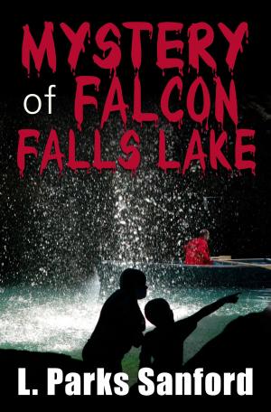 Cover of the book The Mystery of Falcon Falls Lake by Alexis Aubenque