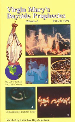 Cover of the book Virgin Mary’s Bayside Prophecies: Volume 4 of 6 - 1976 to 1977 by Brady the Antipoet