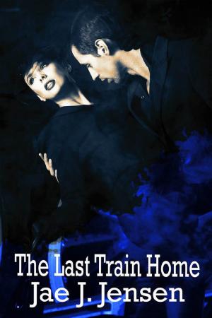 Book cover of Last Train Home