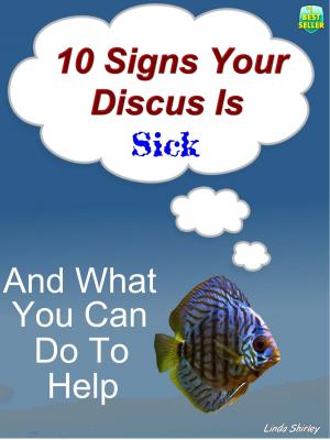 bigCover of the book 10 Signs Your Discus Is Sick by 
