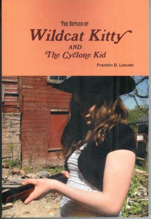 Cover of the book The Return of Wildcat Kitty and the Cyclone Kid by J. A. McLachlan