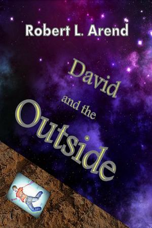 Cover of the book David and the Outside by Eli Celata