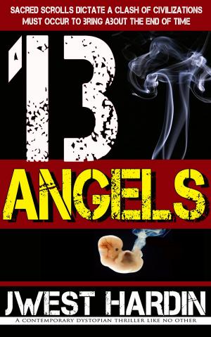 Cover of the book 13 Angels by Hector Himeros