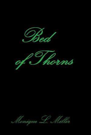 Cover of the book Bed of Thorns by Paul Féval
