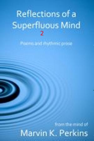 Cover of the book Reflections of a Superfluous Mind 2 by 文心工作室