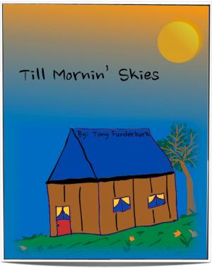 Book cover of Till Mornin' Skies