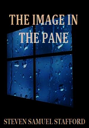 Book cover of The Image In The Pane