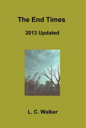 Cover of the book 2013 Update by L C Walker