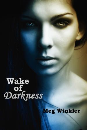 Cover of the book Wake of Darkness by Danny Johnston