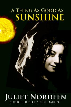 Cover of the book A Thing as Good As Sunshine by M. Edward McNally