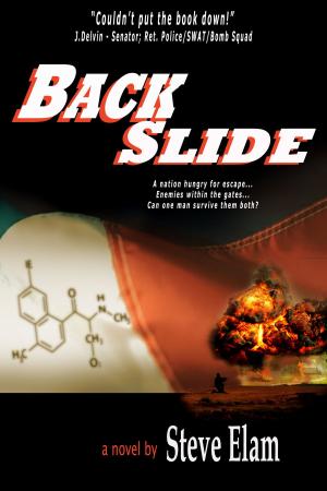 Cover of the book Backslide by Michael Tod