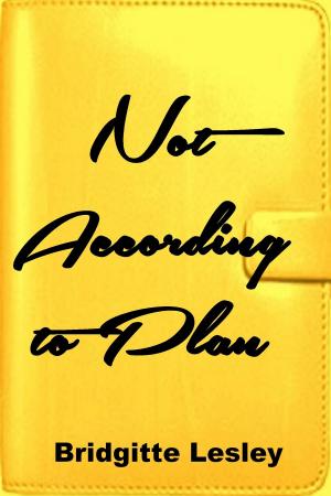 Cover of the book Not According to Plan by Bridgitte Lesley