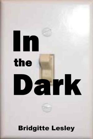 Cover of the book In the Dark by Bridgitte Lesley