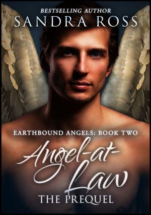 Cover of the book Angel-at-Law: The Prequel (Earthbound Angels Book 2) by Rachel Perry