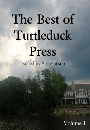 Cover of the book The Best of Turtleduck Press by Cody J. Sherer