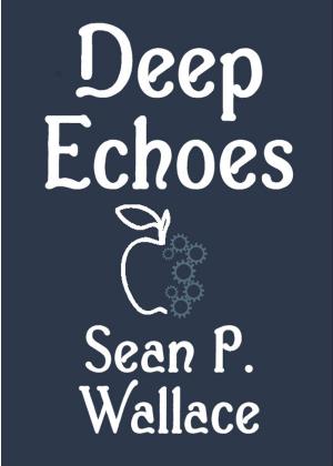 Book cover of Deep Echoes
