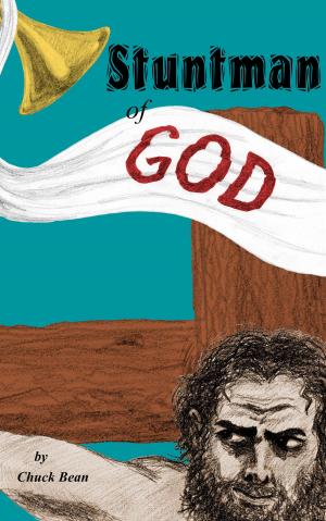 Cover of the book Stuntman of God by Melisse Aires