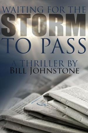 Cover of the book Waiting for the Storm to Pass by Spence Kennedy