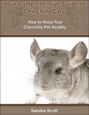 Cover of the book Your Comprehensive Guide to Chinchilla Care: How to Keep Your Chinchilla Pet Healthy by Rod Polo