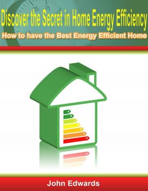 Book cover of Discover the Secret In Home Energy Efficiency: How to Have the Best Energy Efficient Home