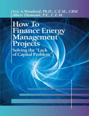 Book cover of How to Finance Energy Management Projects; Solving the "Lack of Capital Problem"