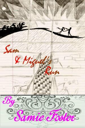 Book cover of Sam and Miguel's Run