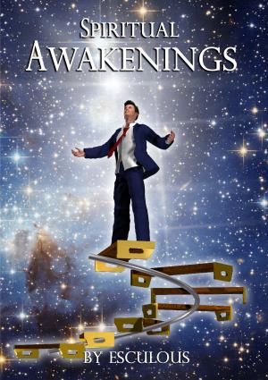 Cover of the book Spiritual Awakenings by R. Geoff Dromey