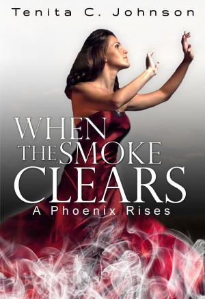 Cover of the book When the Smoke Clears: A Phoenix Rises by Shaquanda D Stephenson