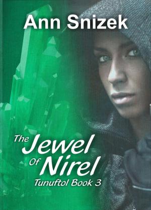 Book cover of The Jewel of Nirel