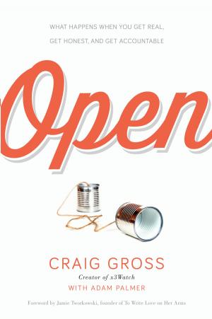 Cover of the book Open by Erwin Raphael McManus