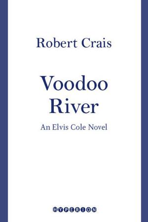 Cover of the book Voodoo River by Norbert Wiener