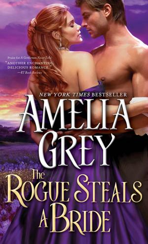 Book cover of The Rogue Steals a Bride