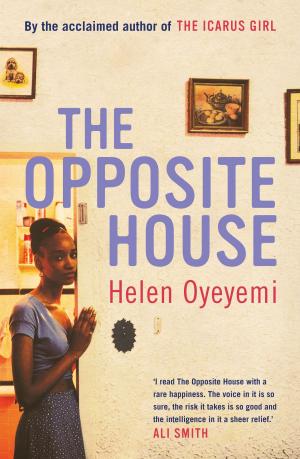 Cover of the book The Opposite House by Philip Ridley