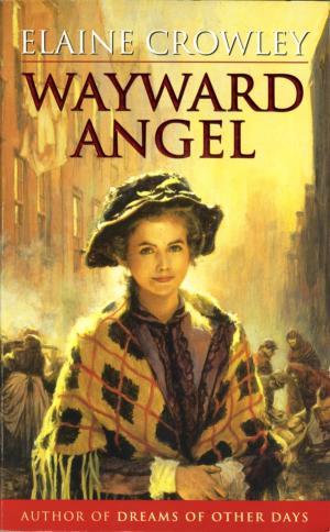 Cover of the book Wayward Angel by P. M. Hubbard