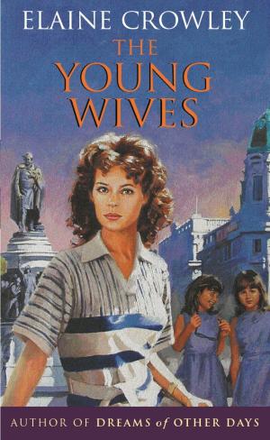 Book cover of The Young Wives