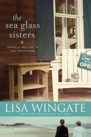 Cover of the book The Sea Glass Sisters by Ron Beers