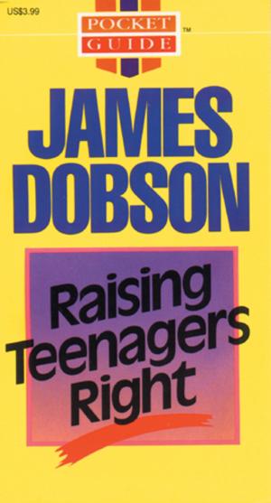 Cover of the book Raising Teenagers Right by EuGene Carpenter, David Thompson, Philip W. Comfort