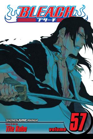 Cover of the book Bleach, Vol. 57 by Project Itoh
