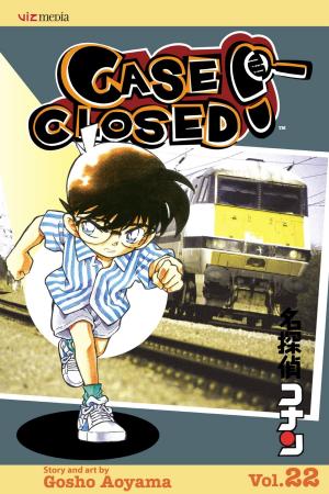 Book cover of Case Closed, Vol. 22