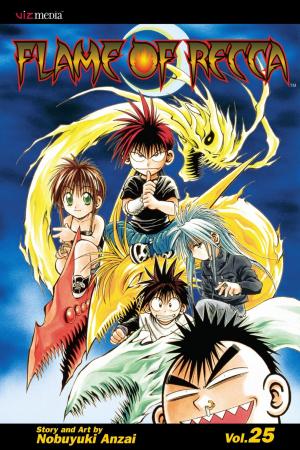 Cover of the book Flame of Recca, Vol. 25 by Tite Kubo