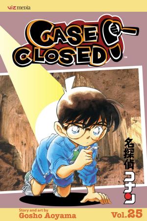 Cover of the book Case Closed, Vol. 25 by Akaza Samamiya